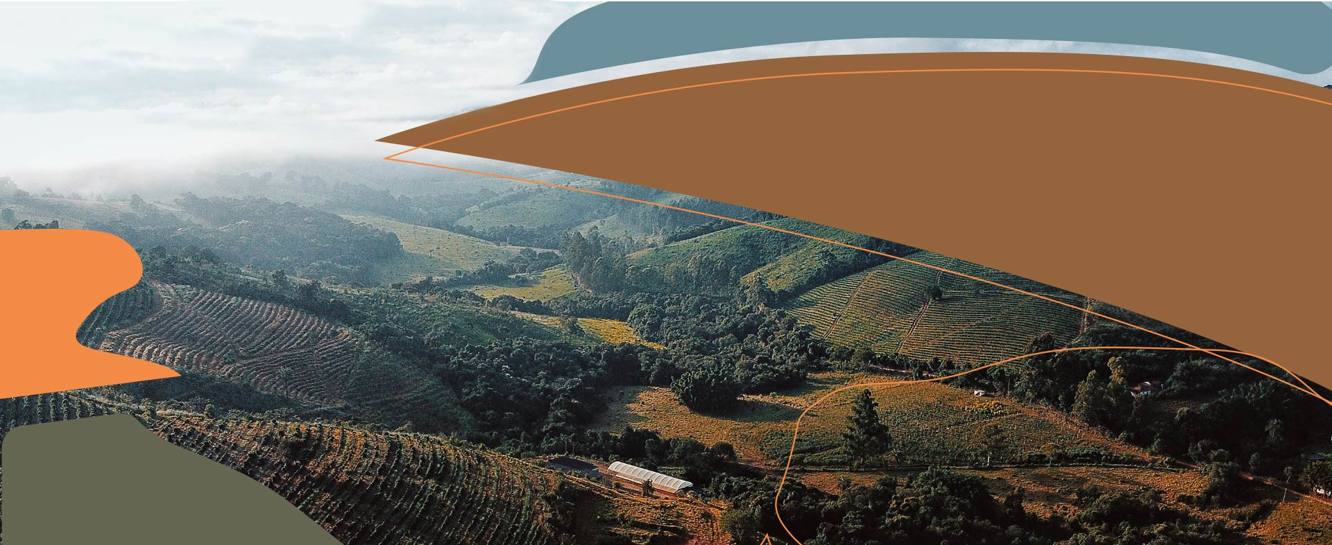 Kaffeeplantagen von Petunia specialty coffee, hochwertiger fair trade Rohkaffee aus Brasilien