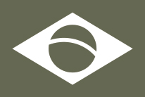 Icon der Brasilianischen Flagge